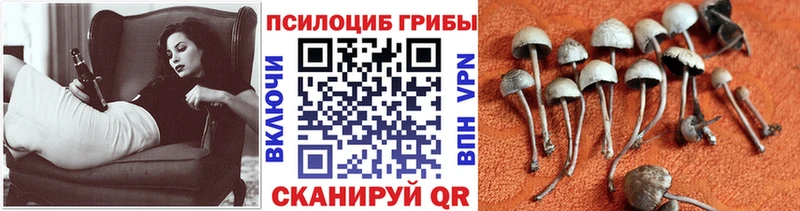 Псилоцибиновые грибы Magic Shrooms  OMG   Обь 
